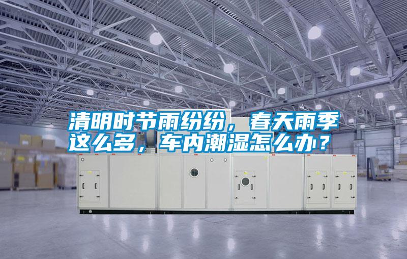 清明時節(jié)雨紛紛，春天雨季這么多，車內(nèi)潮濕怎么辦？