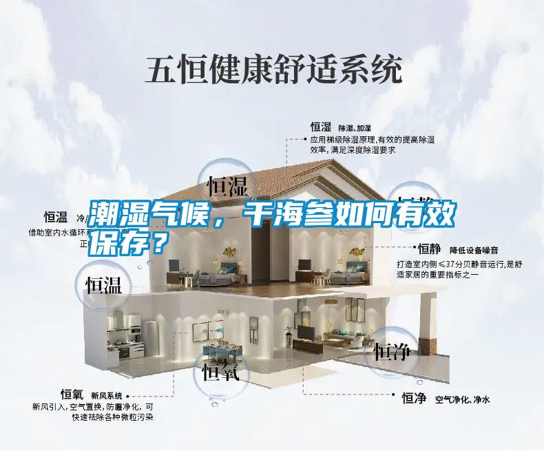 潮濕氣候,干海參如何有效保存?