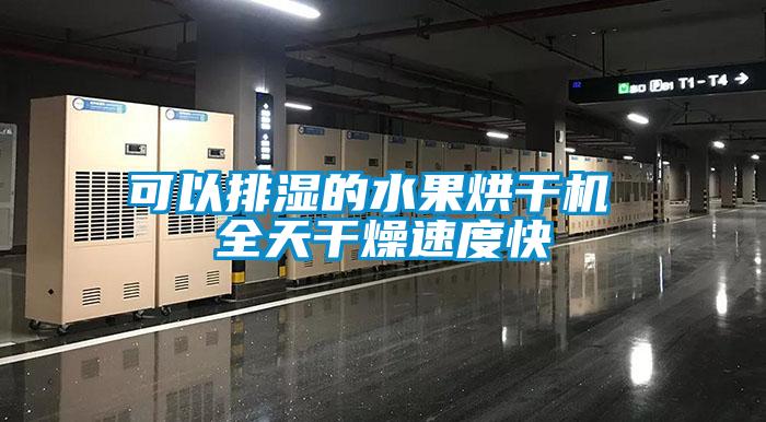可以排濕的水果烘干機 全天干燥速度快