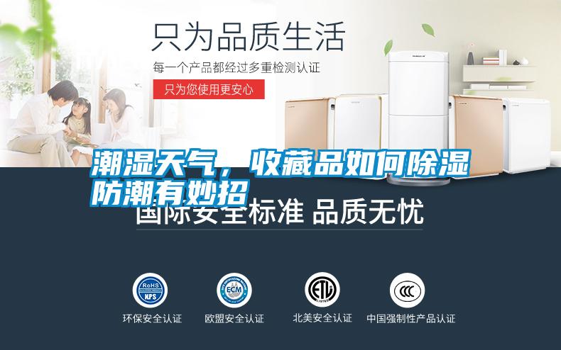 潮濕天氣，收藏品如何除濕防潮有妙招