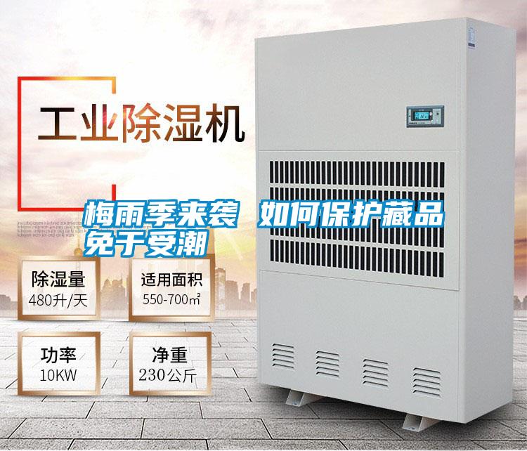 梅雨季來襲 如何保護藏品免于受潮