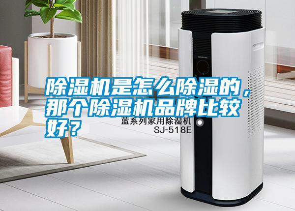 除濕機是怎么除濕的，那個除濕機品牌比較好？