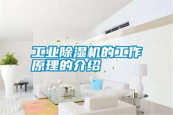 工業除濕機的工作原理的介紹