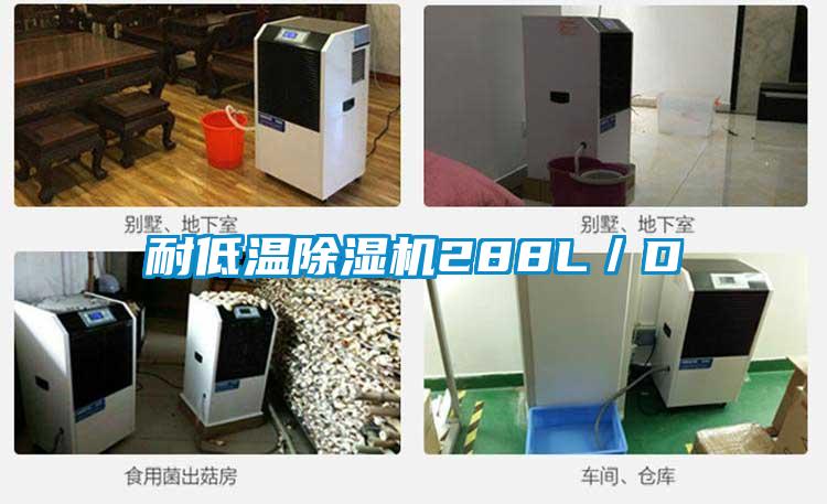 耐低溫除濕機(jī)288L/D