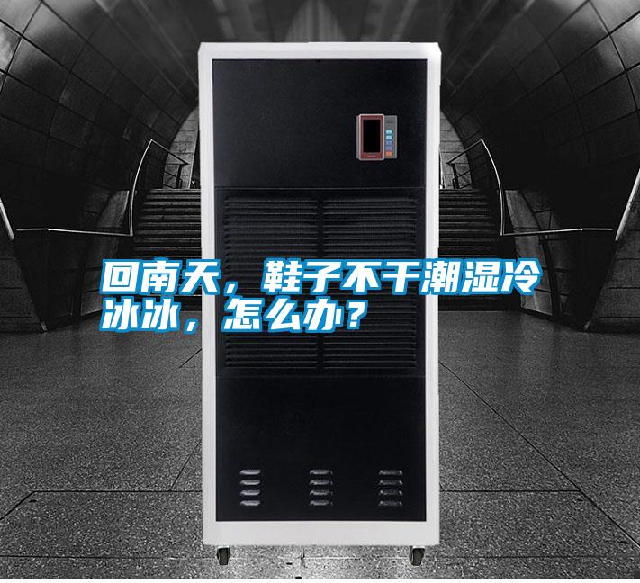 回南天,鞋子不干潮濕冷冰冰,怎么辦?