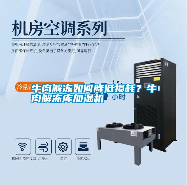 牛肉解凍如何降低損耗?牛肉解凍庫加濕機(jī)