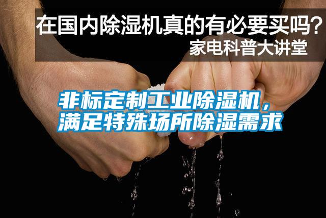 非標定制工業除濕機，滿足特殊場所除濕需求