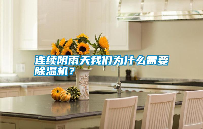 連續(xù)陰雨天我們?yōu)槭裁葱枰凉駲C(jī)？