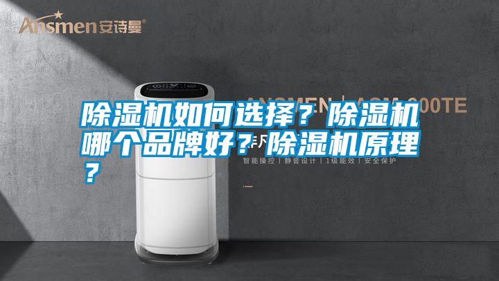 除濕機如何選擇？除濕機哪個品牌好？除濕機原理？