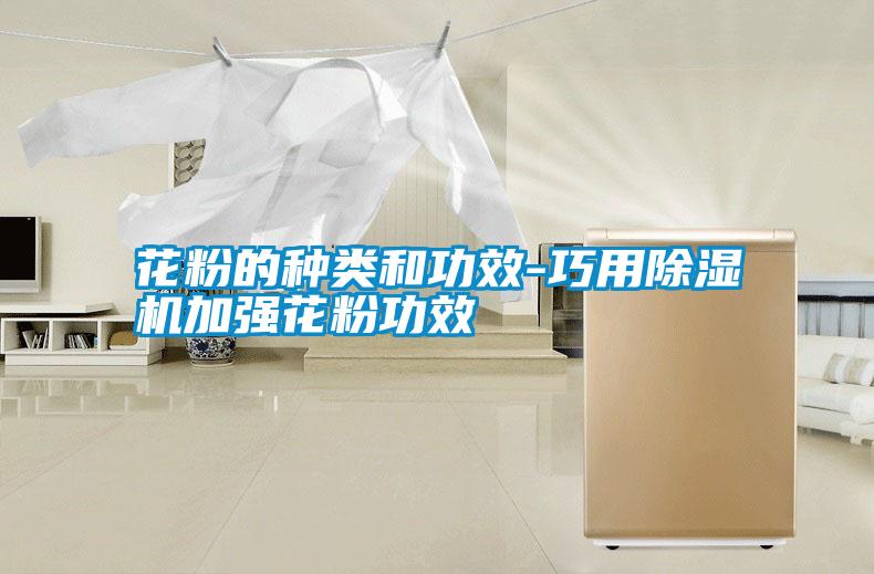 花粉的種類和功效-巧用除濕機加強花粉功效