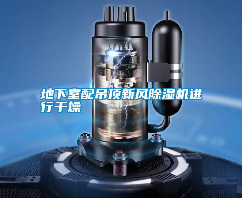 地下室配吊頂新風(fēng)除濕機(jī)進(jìn)行干燥