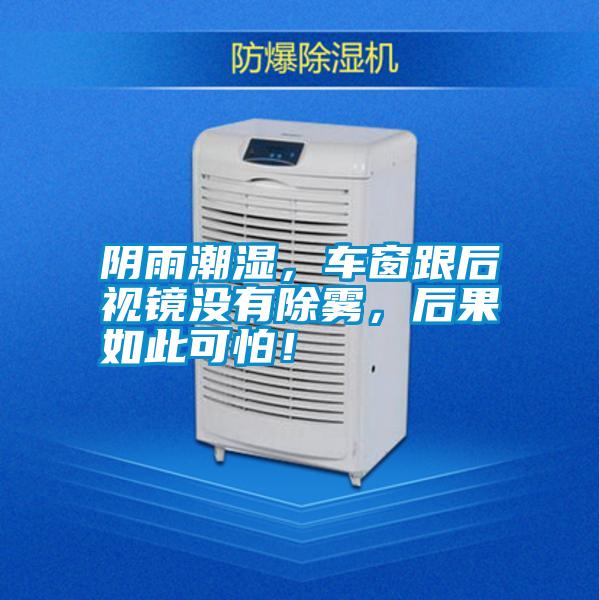 陰雨潮濕，車窗跟后視鏡沒有除霧，后果如此可怕！