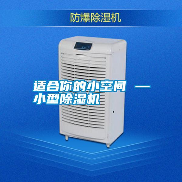 適合你的小空間 —小型除濕機