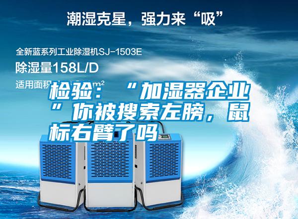 檢驗:“加濕器企業”你被搜索左膀,鼠標右臂了嗎
