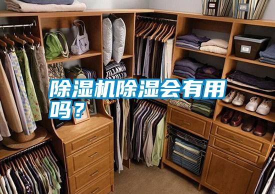 除濕機除濕會有用嗎?