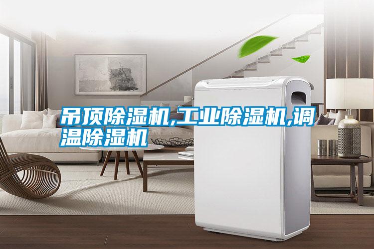 吊頂除濕機,工業(yè)除濕機,調(diào)溫除濕機