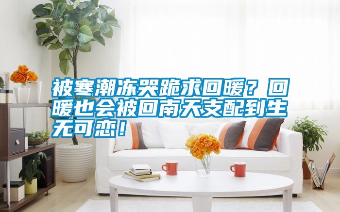 被寒潮凍哭跪求回暖？回暖也會被回南天支配到生無可戀！