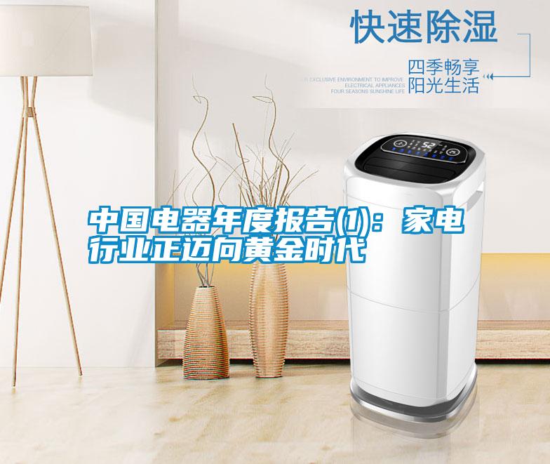 中國電器年度報告(1)：家電行業正邁向黃金時代