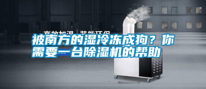 被南方的濕冷凍成狗？你需要一臺除濕機的幫助