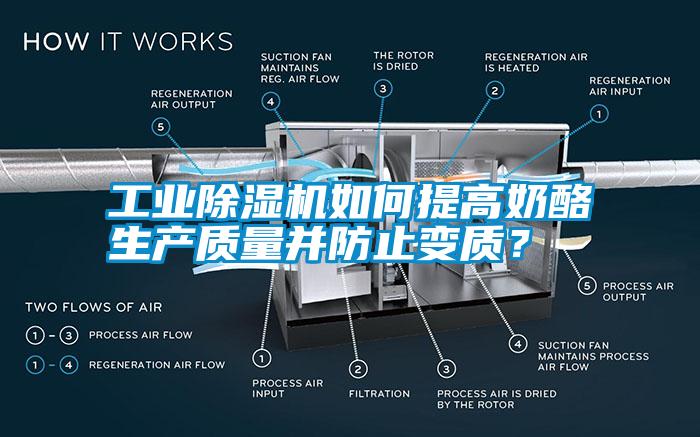 工業除濕機如何提高奶酪生產質量并防止變質？
