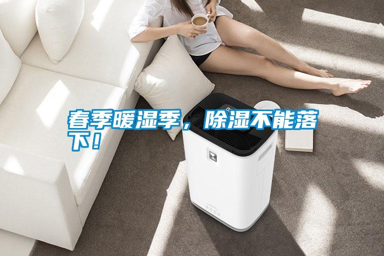 春季暖濕季,除濕不能落下!