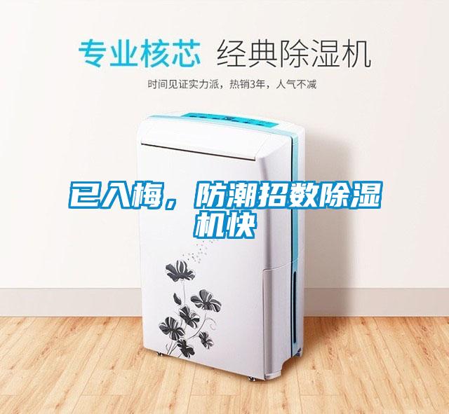 已入梅，防潮招數(shù)除濕機快