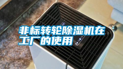 非標(biāo)轉(zhuǎn)輪除濕機(jī)在工廠的使用