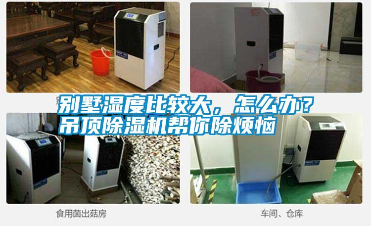 別墅濕度比較大，怎么辦？吊頂除濕機幫你除煩惱