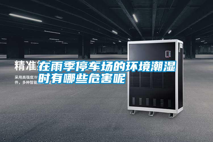 在雨季停車場的環境潮濕時有哪些危害呢