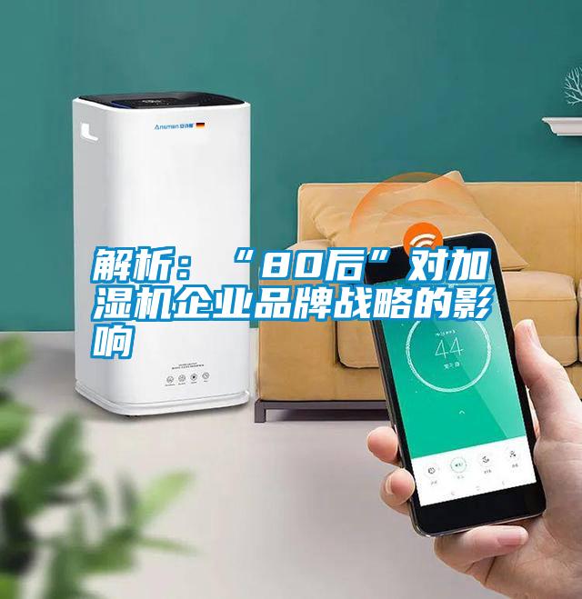 解析：“80后”對加濕機企業(yè)品牌戰(zhàn)略的影響