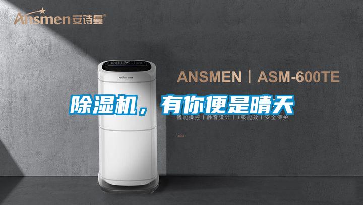 除濕機，有你便是晴天
