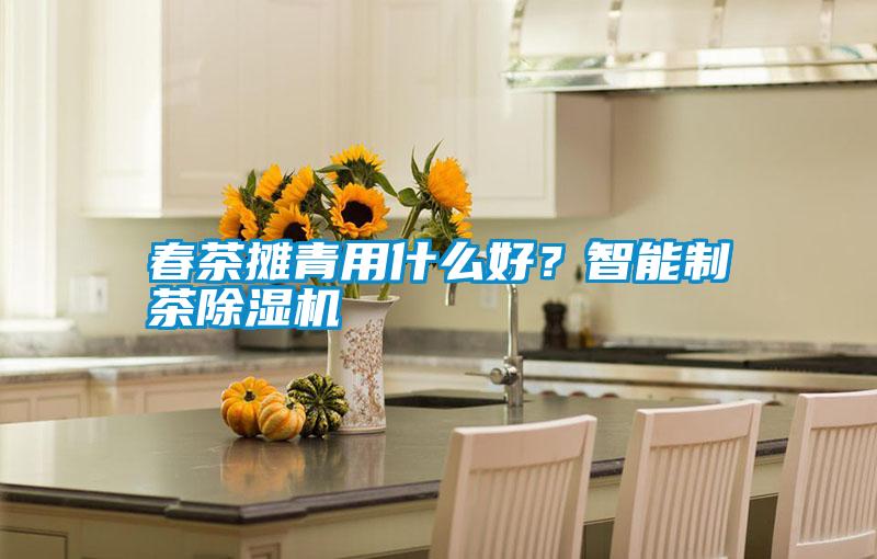 春茶攤青用什么好？智能制茶除濕機