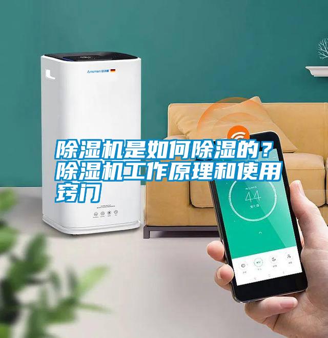 除濕機是如何除濕的？除濕機工作原理和使用竅門