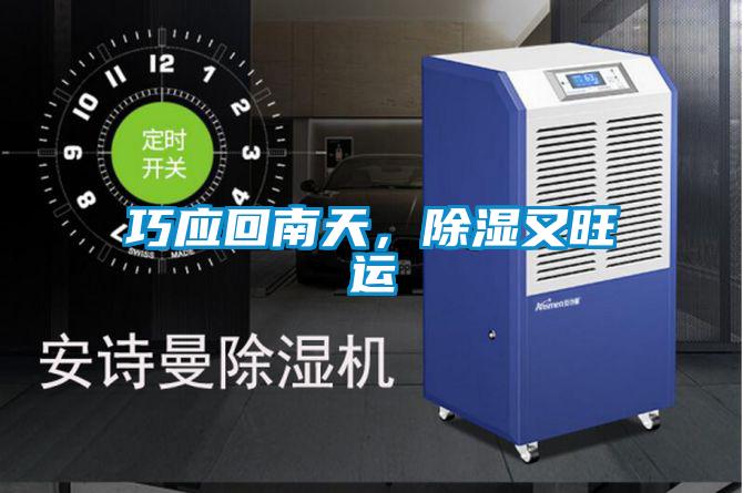 巧應(yīng)回南天,除濕又旺運(yùn)