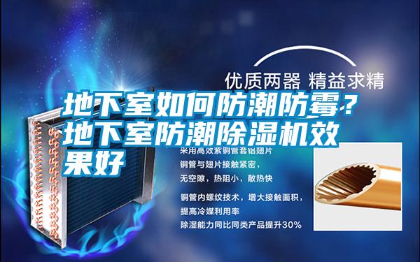 地下室如何防潮防霉？地下室防潮除濕機效果好