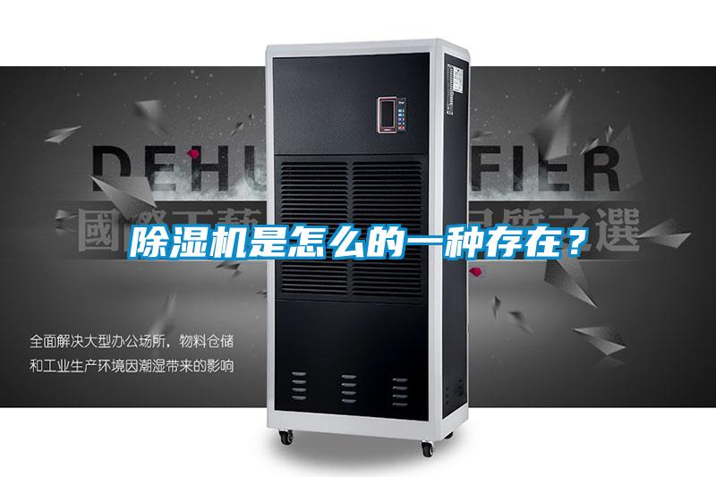 除濕機是怎么的一種存在？