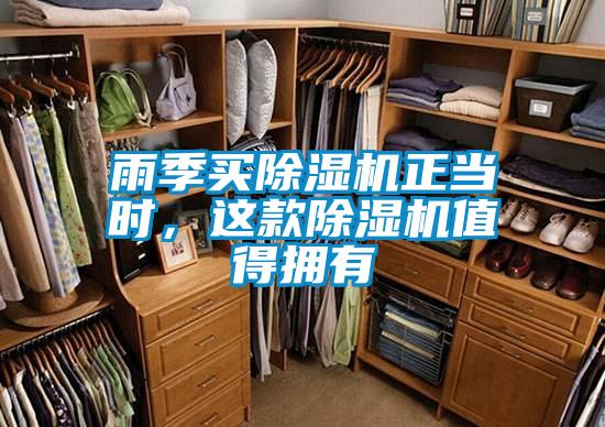 雨季買除濕機(jī)正當(dāng)時(shí)，這款除濕機(jī)值得擁有