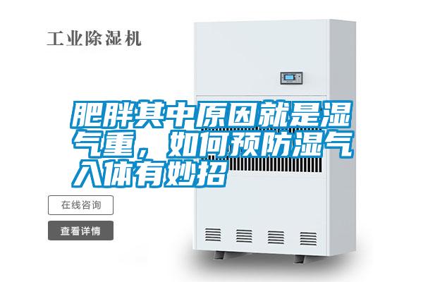 肥胖其中原因就是濕氣重，如何預防濕氣入體有妙招