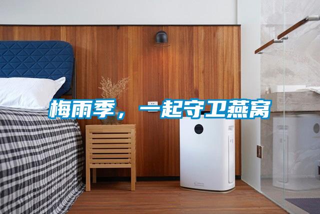 梅雨季,一起守衛燕窩