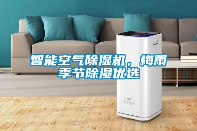 智能空氣除濕機，梅雨季節除濕優選