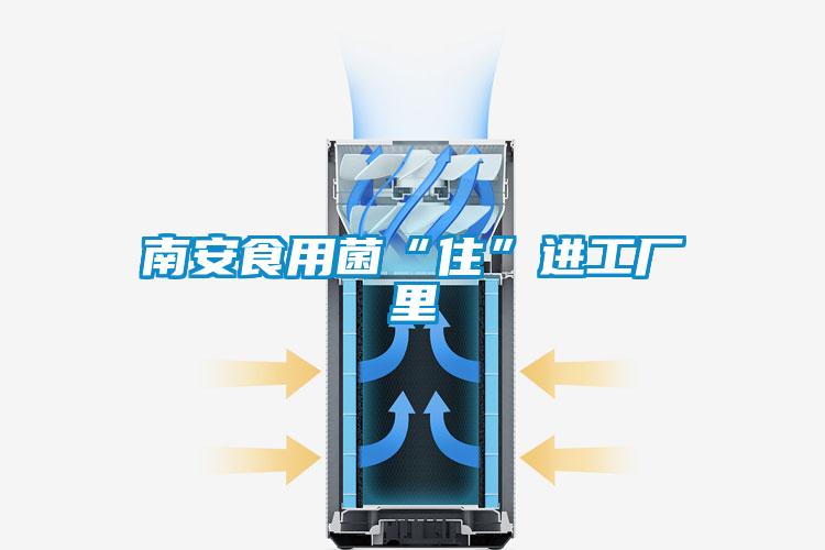 南安食用菌“住”進工廠里