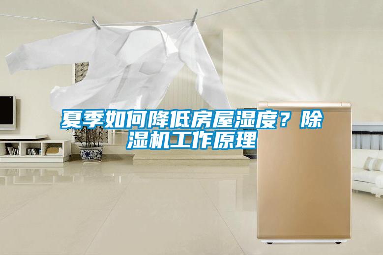夏季如何降低房屋濕度？除濕機工作原理