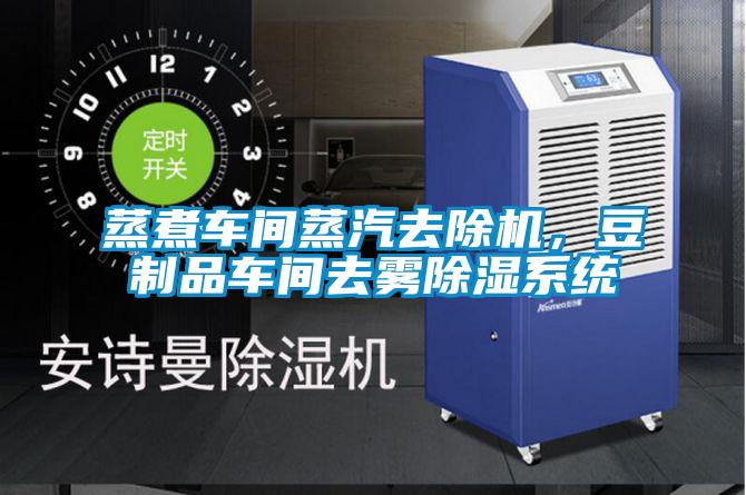 蒸煮車間蒸汽去除機，豆制品車間去霧除濕系統