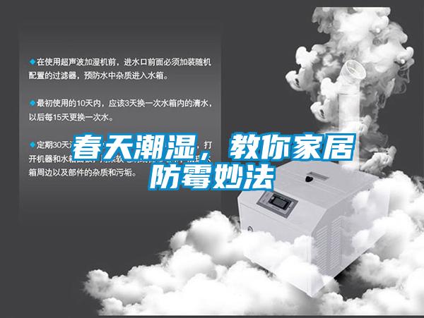 春天潮濕,教你家居防霉妙法