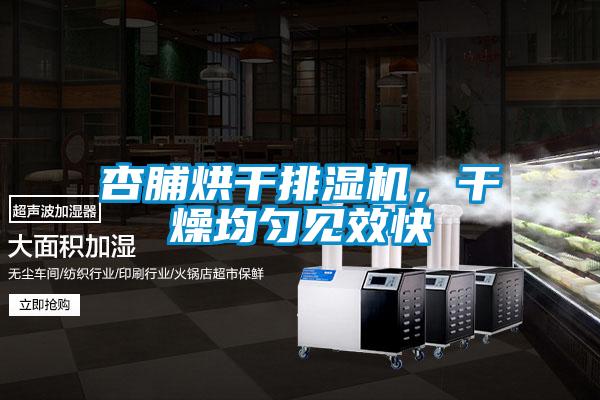 杏脯烘干排濕機，干燥均勻見效快