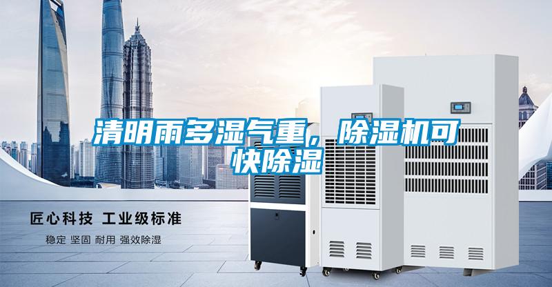 清明雨多濕氣重，除濕機可快除濕