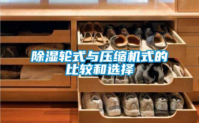 除濕輪式與壓縮機式的比較和選擇