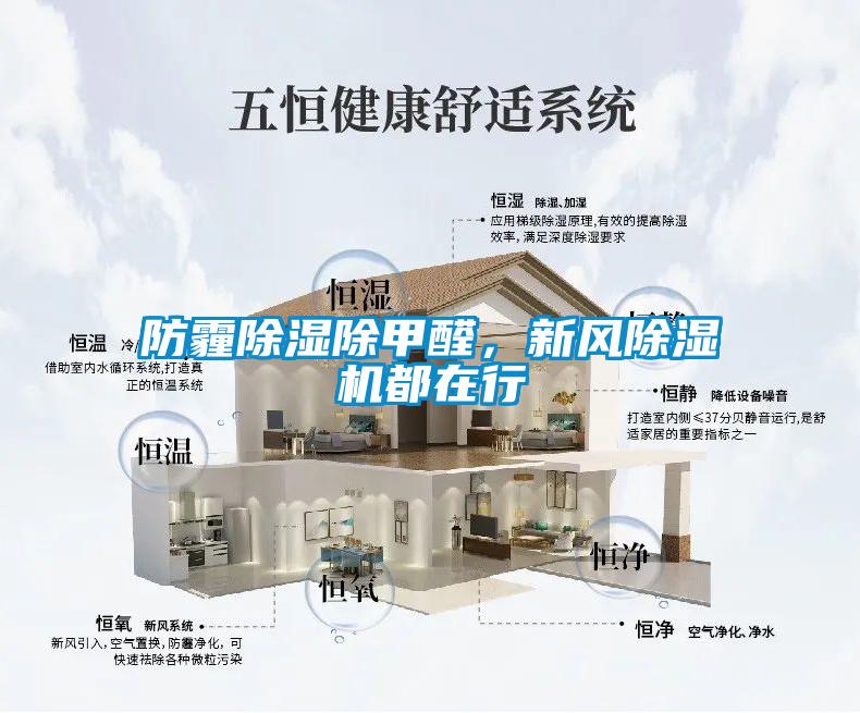 防霾除濕除甲醛，新風除濕機都在行