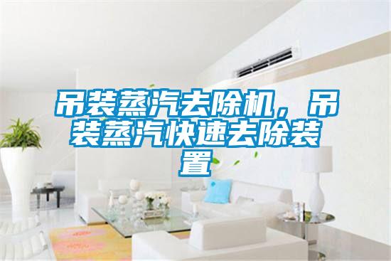 吊裝蒸汽去除機，吊裝蒸汽快速去除裝置