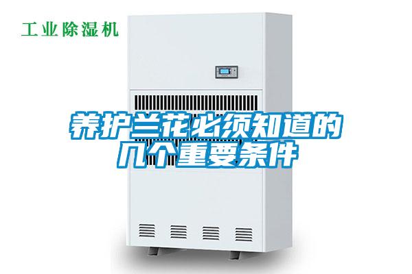 養(yǎng)護(hù)蘭花必須知道的幾個重要條件
